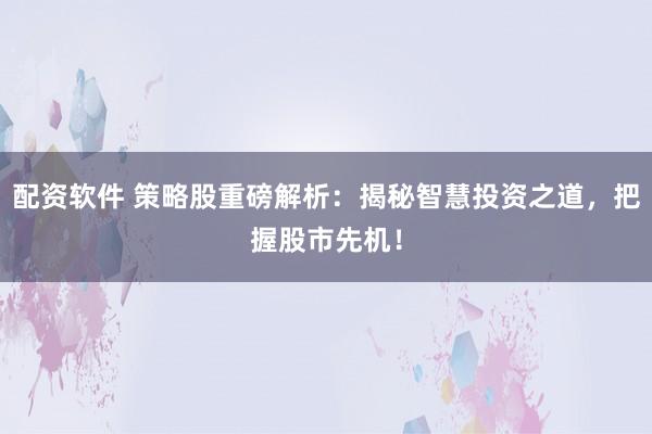 配资软件 策略股重磅解析：揭秘智慧投资之道，把握股市先机！