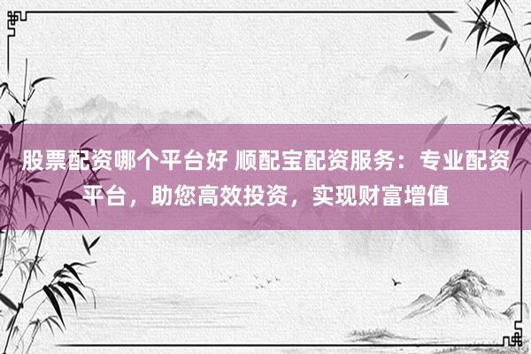 股票配资哪个平台好 顺配宝配资服务：专业配资平台，助您高效投资，实现财富增值