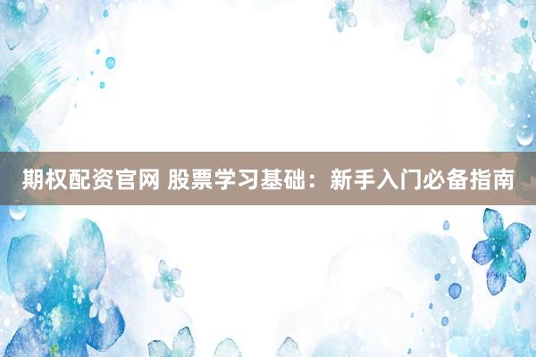 期权配资官网 股票学习基础：新手入门必备指南
