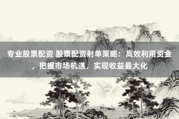 专业股票配资 股票配资射单策略：高效利用资金，把握市场机遇，实现收益最大化