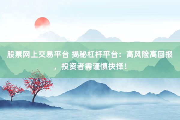 股票网上交易平台 揭秘杠杆平台：高风险高回报，投资者需谨慎抉择！