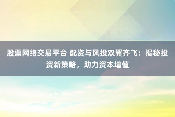 股票网络交易平台 配资与风投双翼齐飞：揭秘投资新策略，助力资本增值