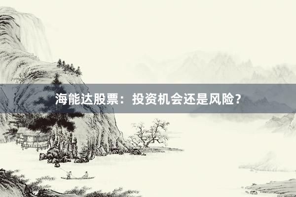 海能达股票:投资机会还是风险?