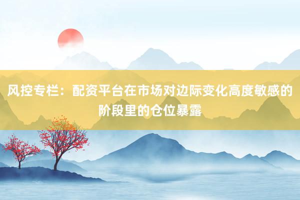 风控专栏：配资平台在市场对边际变化高度敏感的阶段里的仓位暴露