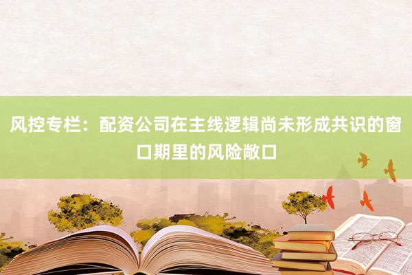 风控专栏：配资公司在主线逻辑尚未形成共识的窗口期里的风险敞口