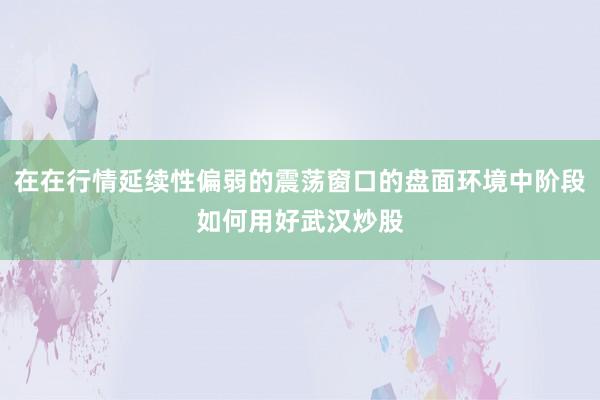 在在行情延续性偏弱的震荡窗口的盘面环境中阶段如何用好武汉炒股