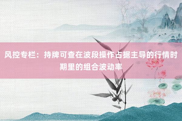 风控专栏：持牌可查在波段操作占据主导的行情时期里的组合波动率