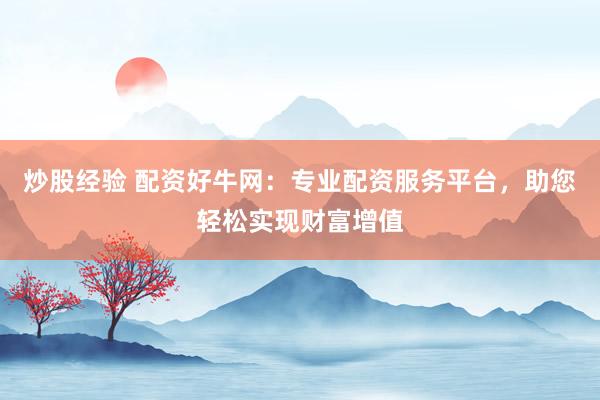 炒股经验 配资好牛网：专业配资服务平台，助您轻松实现财富增值