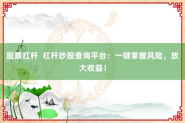 股票扛杆  杠杆炒股查询平台：一键掌握风险，放大收益！